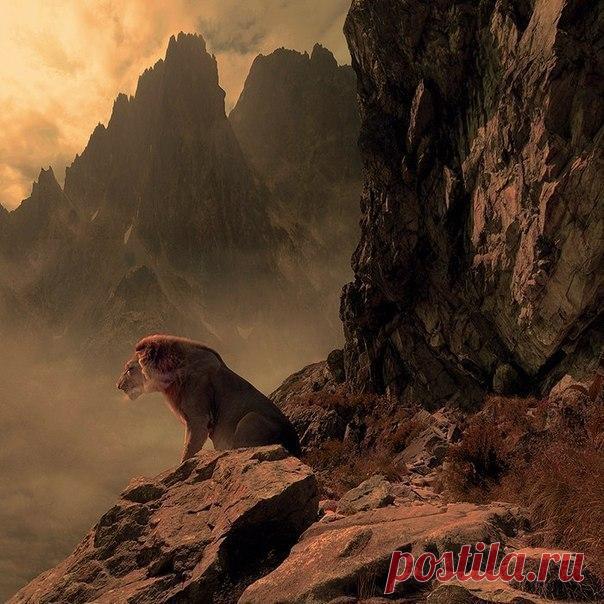 Подборка невероятно мудрых цитат, которые будут полезны всем -