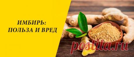 Имбирь: польза и вред для здоровья организма Имбирь: история продукта, химический состав, польза и вред для здоровья организма, пряность в народной медицине, косметологии, кулинарии.
