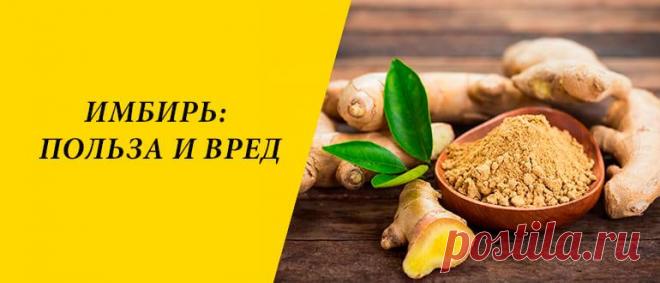 Имбирь: польза и вред для здоровья организма Имбирь: история продукта, химический состав, польза и вред для здоровья организма, пряность в народной медицине, косметологии, кулинарии.