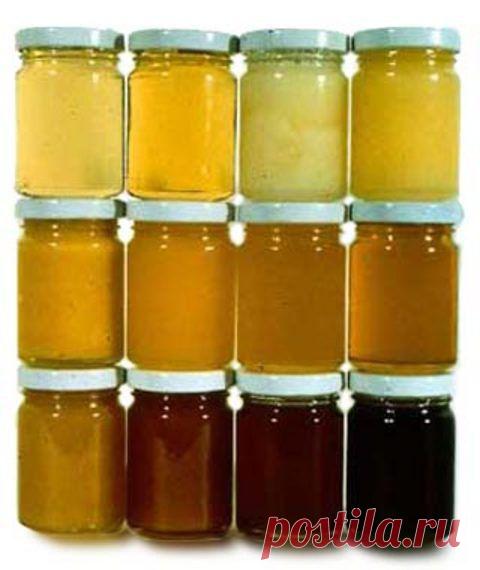 Как мёд влияет на человека