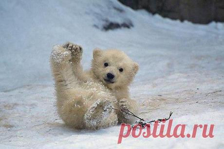 Интересные новости