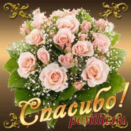 Для любителей здорового питания. / Болталка / Кулинария