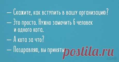 А кота за что?
