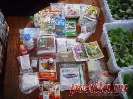 Биорегуляторы роста и развития комнатных растений