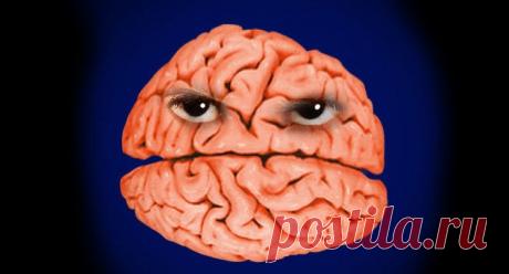 Что происходит с мозгом тех, кто постоянно жалуется «Мысль меняет структуру ... Я видел, как люди переделывали свой мозг своими мыслями, чтобы излечить ранее неизлечимые навязчивые идеи и травмы». - Норман Доидж, канадский психиатр и автор книги «Мозг, который меняет себя сам» Человеческий мозг удивительно податливый...