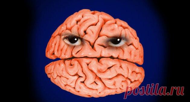 Что происходит с мозгом тех, кто постоянно жалуется «Мысль меняет структуру ... Я видел, как люди переделывали свой мозг своими мыслями, чтобы излечить ранее неизлечимые навязчивые идеи и травмы». - Норман Доидж, канадский психиатр и автор книги «Мозг, который меняет себя сам» Человеческий мозг удивительно податливый...