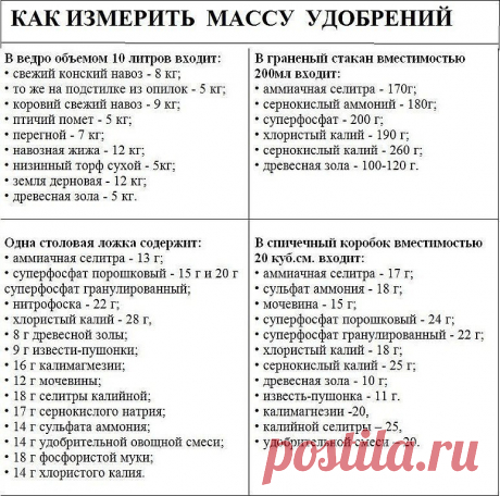 Моя любимая дача|Сад, огород, цветы