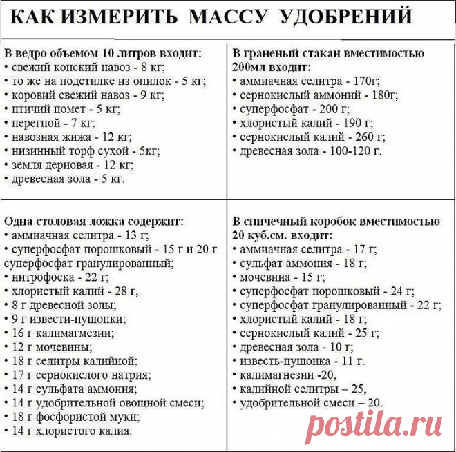 Моя любимая дача|Сад, огород, цветы