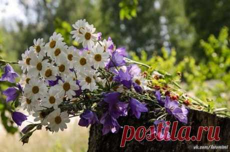 (2) Одноклассники