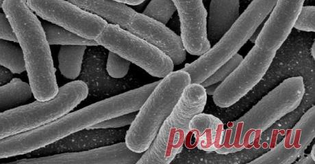 ЖЕНСКИЙ КЛУБ МОЛОДОСТИ И КРАСОТЫ