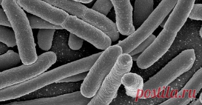 ЖЕНСКИЙ КЛУБ МОЛОДОСТИ И КРАСОТЫ