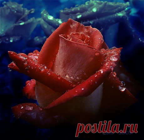 Фотографии на стене сообщества | 32 837 фотографий | ВКонтакте