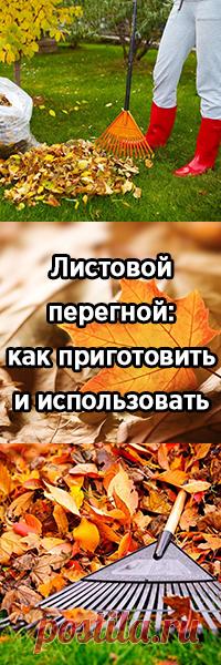 Листовой перегной: как приготовить и использовать