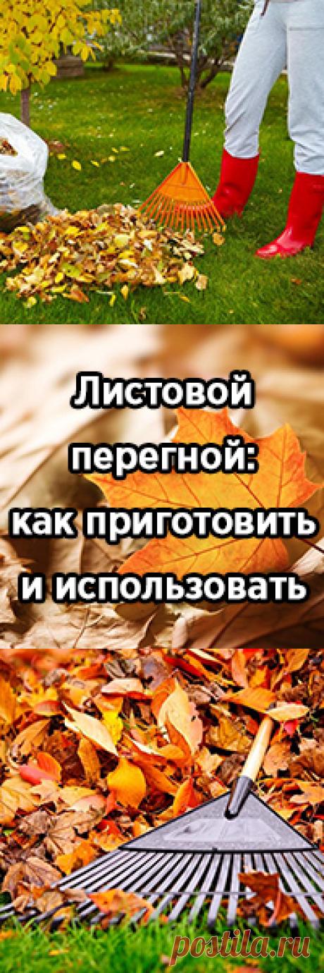 Листовой перегной: как приготовить и использовать