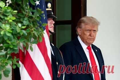 Трамп даст России и Украине «немного повоевать»