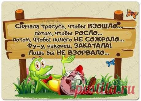 Минутка юмора для огородников! Доброе утро, друзья!