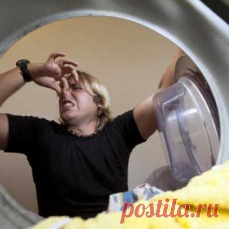 Удаляем запах из стиральной машины