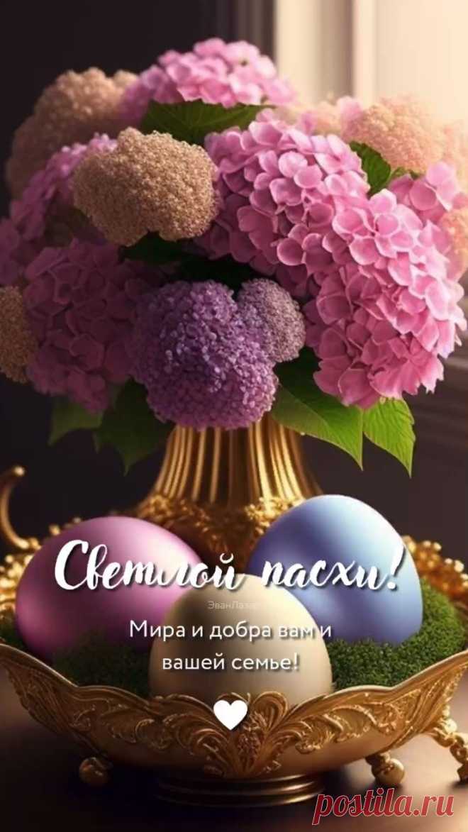 Изображение пина-истории