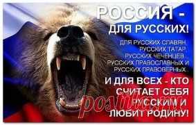 Картинки из тем