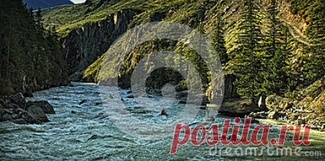 Stock Photos, Royalty-Free Images & Video Footage By Dreamstime Stock Photography