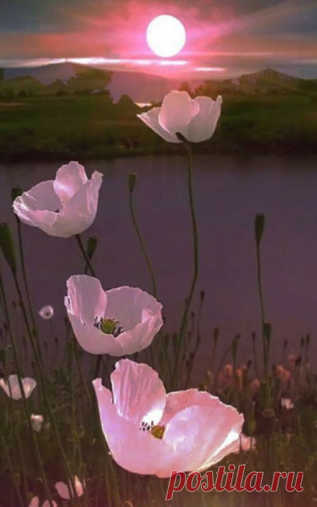 I love The Romantic world of nature. - Fotky