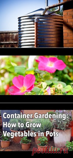 Пришло время собрать и сохранить воду | носорог резервуары для воды