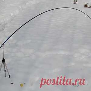 Ремонт удилища: ремонтировать или купить новое - МирТесен