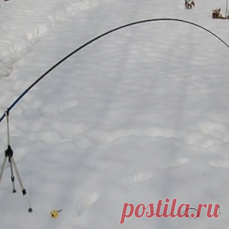 Ремонт удилища: ремонтировать или купить новое - МирТесен