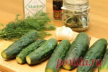 Огурцы в томате на зиму - Овощи на зиму . 1001 ЕДА вкусные рецепты с фото!