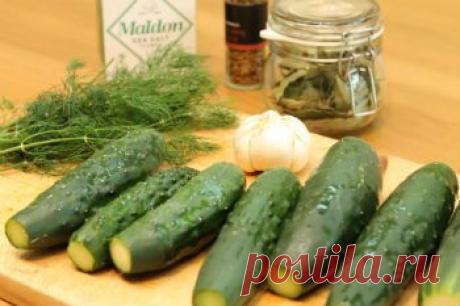 Огурцы в томате на зиму - Овощи на зиму . 1001 ЕДА вкусные рецепты с фото!