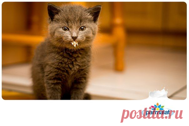 Кто придумает самую забавную подпись к этой картинке? Делитесь своими идеями в комментариях! / Необычные поделки