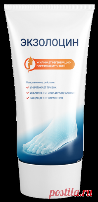 Купить «Exolocin» недорого.Цены, отзывы.Закажите «Exolocin» сейчас!