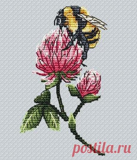 Gallery.ru / Фото #59 - Насекомые - BelleBlue