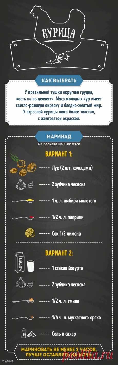 Гид по приготовлению блюд из курицы