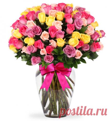 tulipanes de colores - Buscar con Google