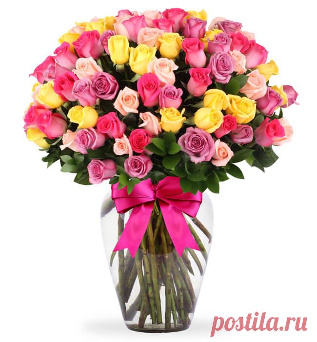 tulipanes de colores - Buscar con Google