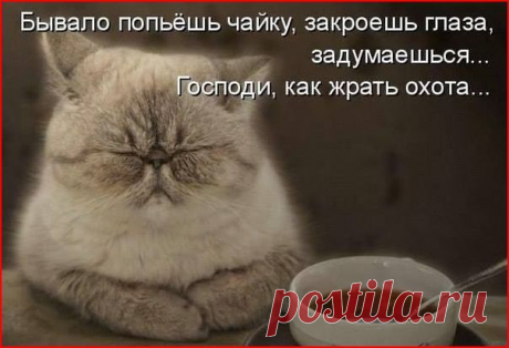 Евгений Чупахин - Сообщения / в Кругу Друзей - социальная сеть