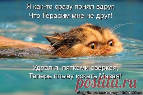 Позитив зверский. Котоматрицы для хорошего настроения на выходные