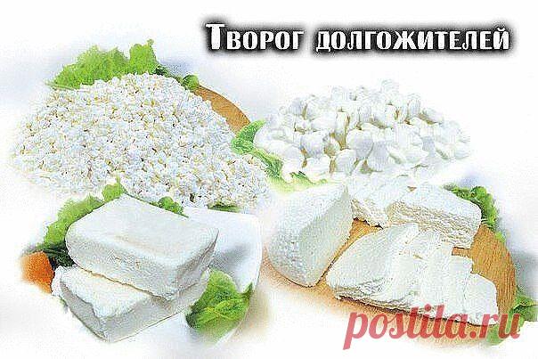 ТВОРОГ ДОЛГОЖИТЕЛЕЙ