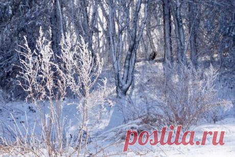 Магнитные бури сегодня: прогноз на 17 февраля - стабильное состояние магнитосферы