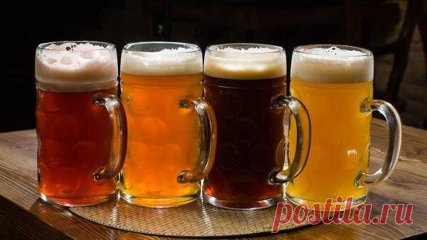 Выражения с пивом 🍺  / Изучение немецкого языка