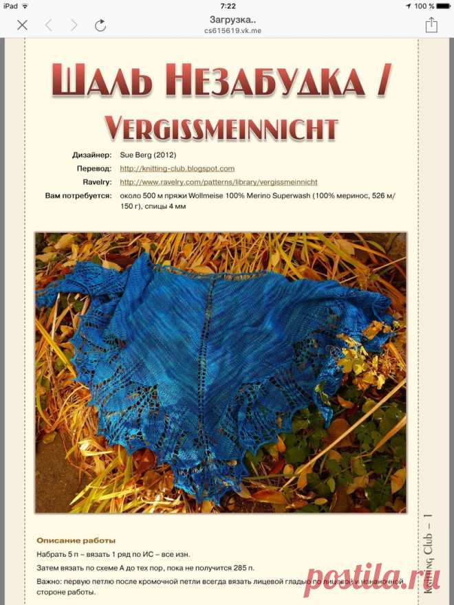 Шаль "Незабудка"