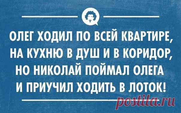 Стишки-пирожки - ЯПлакалъ