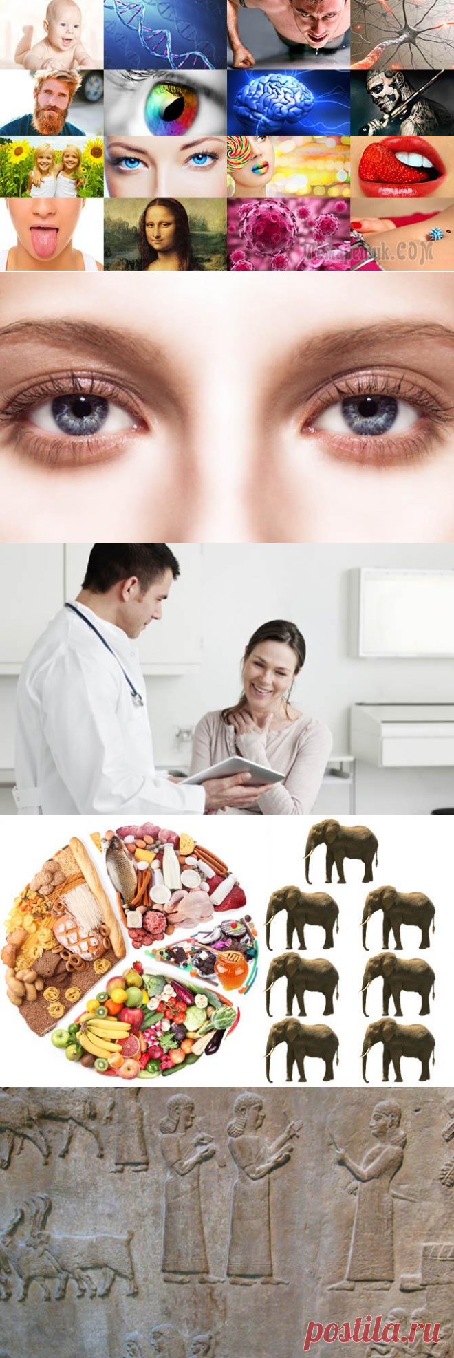 Топ 50. Самые интересные факты о человеке