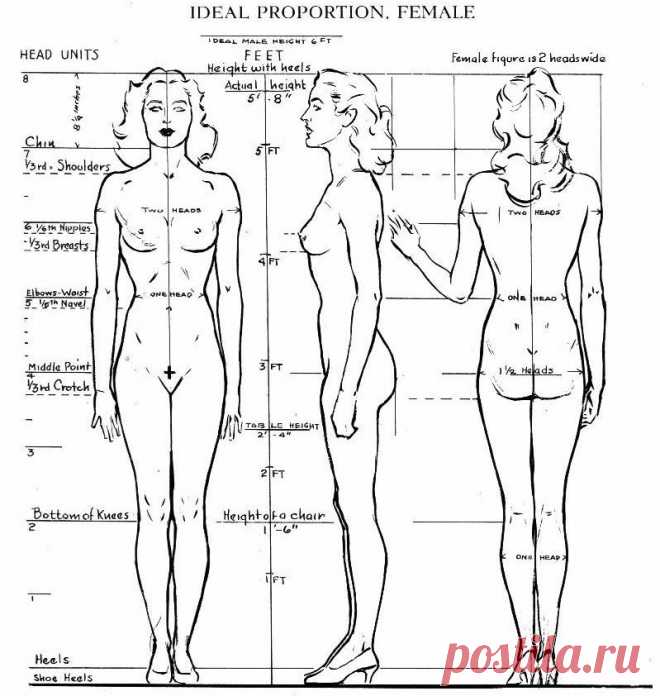 как правильно начать подготовку лепить куклу: 12 тыс изображений найдено в Яндекс.Картинках
