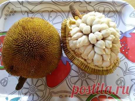 ТурПрикол. Всё о приколах на отдыхе