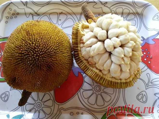 ТурПрикол. Всё о приколах на отдыхе