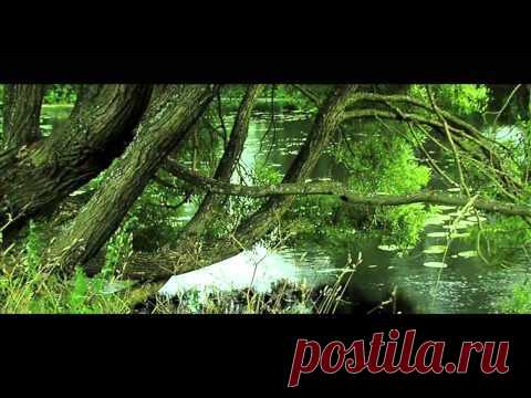 Сказка Индира :: Видео :: Музыка :: Транс -