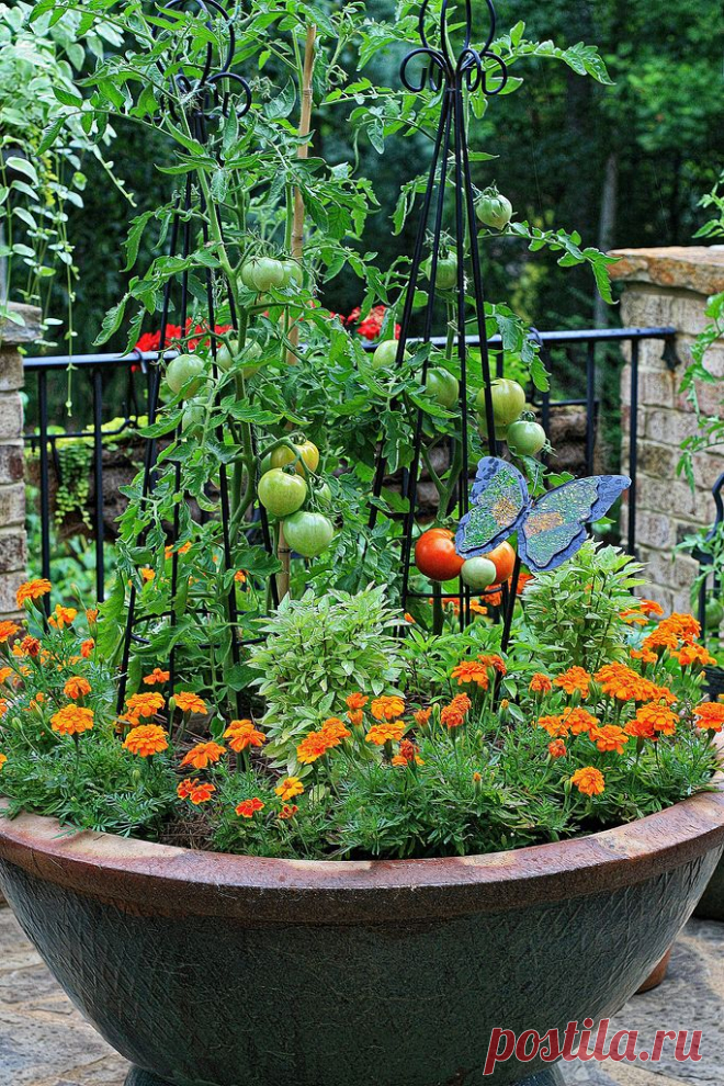 Контейнерные сады | Самоцветик