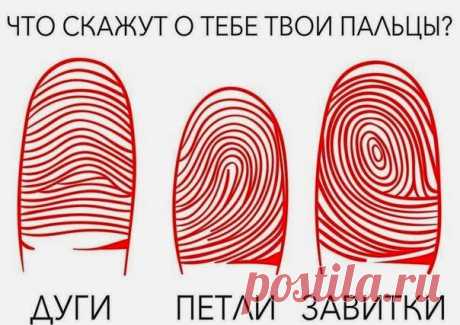 Всё самое интересное!: ШТРИХ - КОД СУДЬБЫ Что означает каждый узор на твоем пальце?